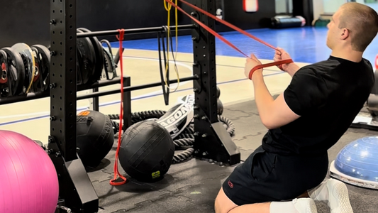 Reverse nordic curl