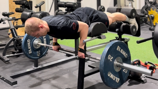Wiosłowanie sztangą na gad / barbell row gid